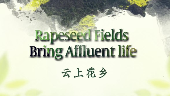 云上花鄉